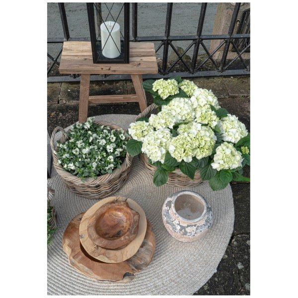 Kilimas Menorca Ø120 cm