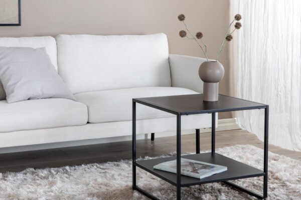 15555-660__11 Dvivietė sofa Zoom