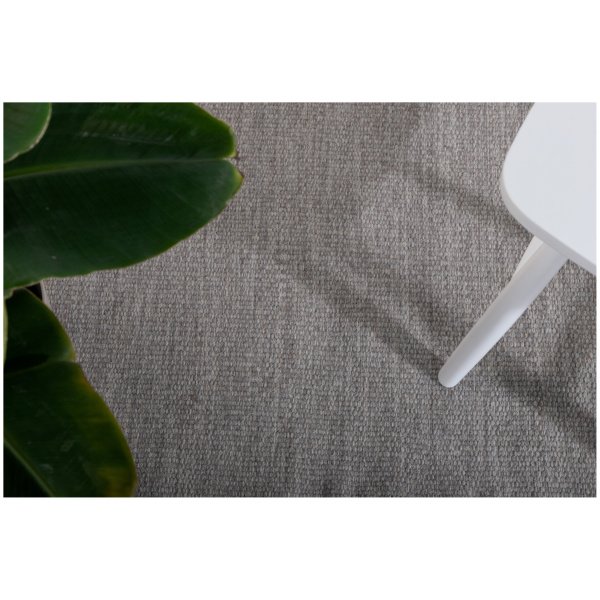 15672-105__11 Kilimas Cyrus