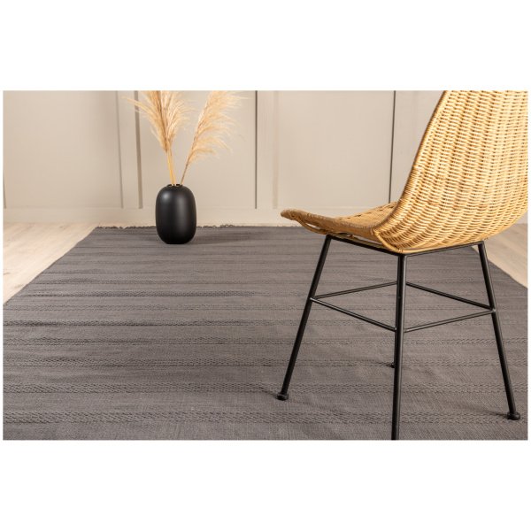 15693-555__10 Kilimas Nico