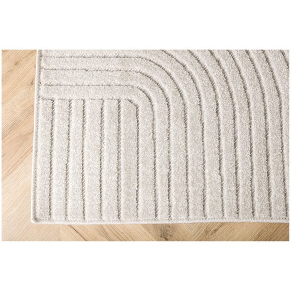 16023-101_8_m Kilimas Vince