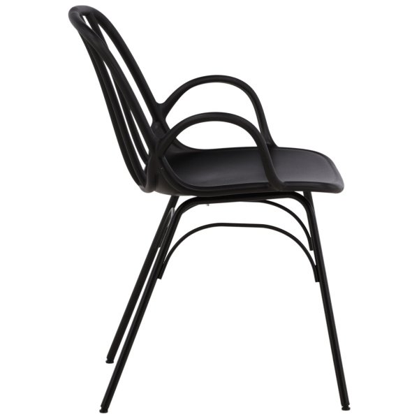 Valgomojo kėdė Dyron