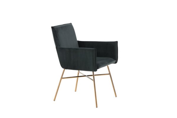 Valgomojo kėdė Petra