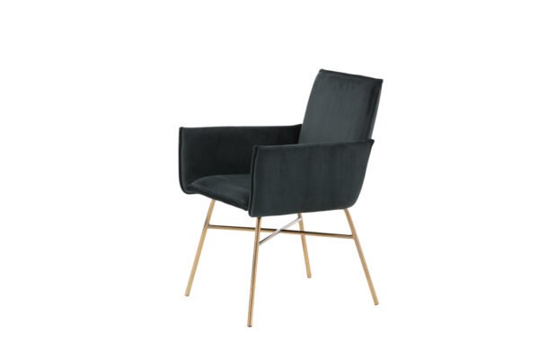 Valgomojo kėdė Petra