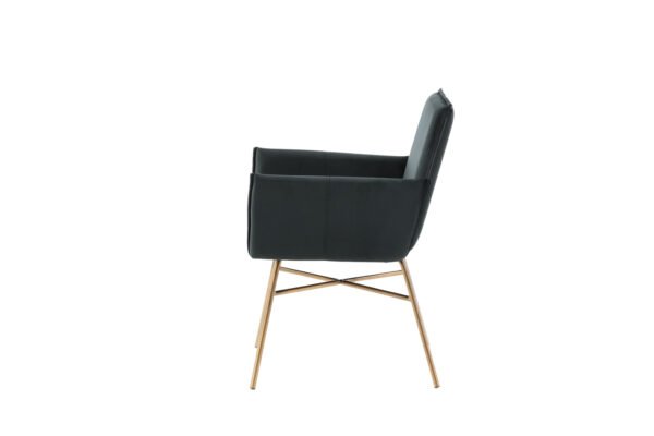 Valgomojo kėdė Petra